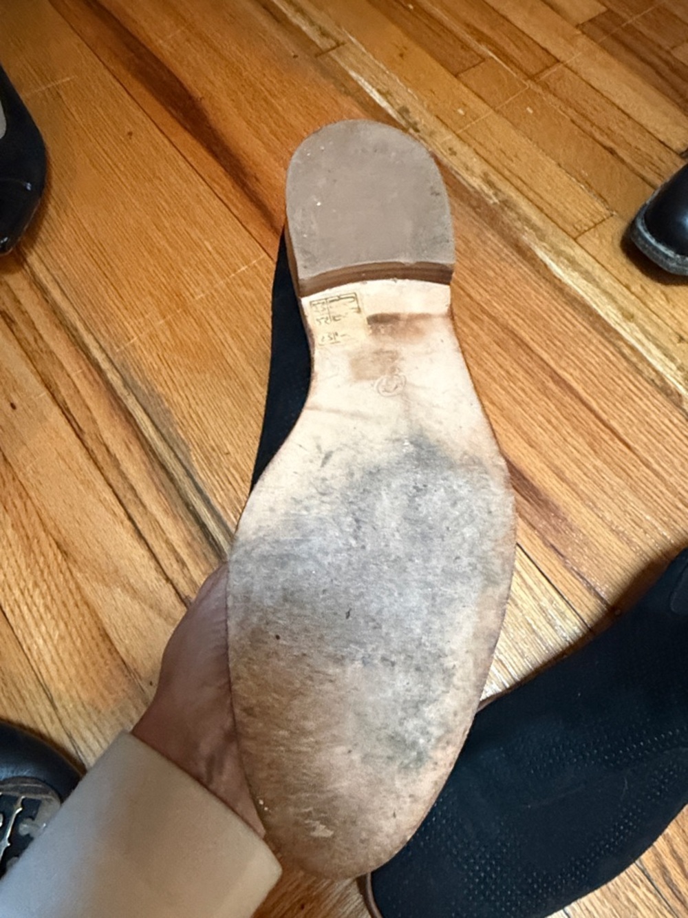 Suede Chelsea Ankle Boots in Black suede - Picture 8 of 10